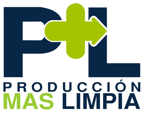 SISTEMAS DE PRODUCCIÓN LIMPIA